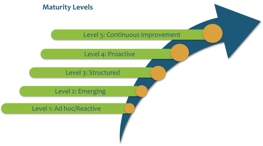SMMA Maturity Levels